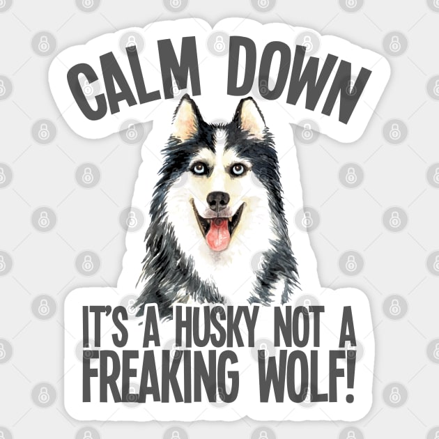 Husky - Calm Down Its A Husky Not A Freaking Wolf Sticker by Kudostees